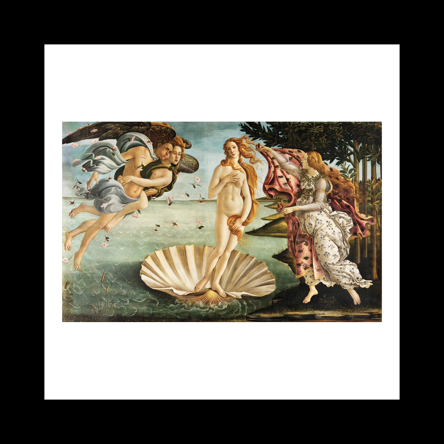 Birth Venus (1485)