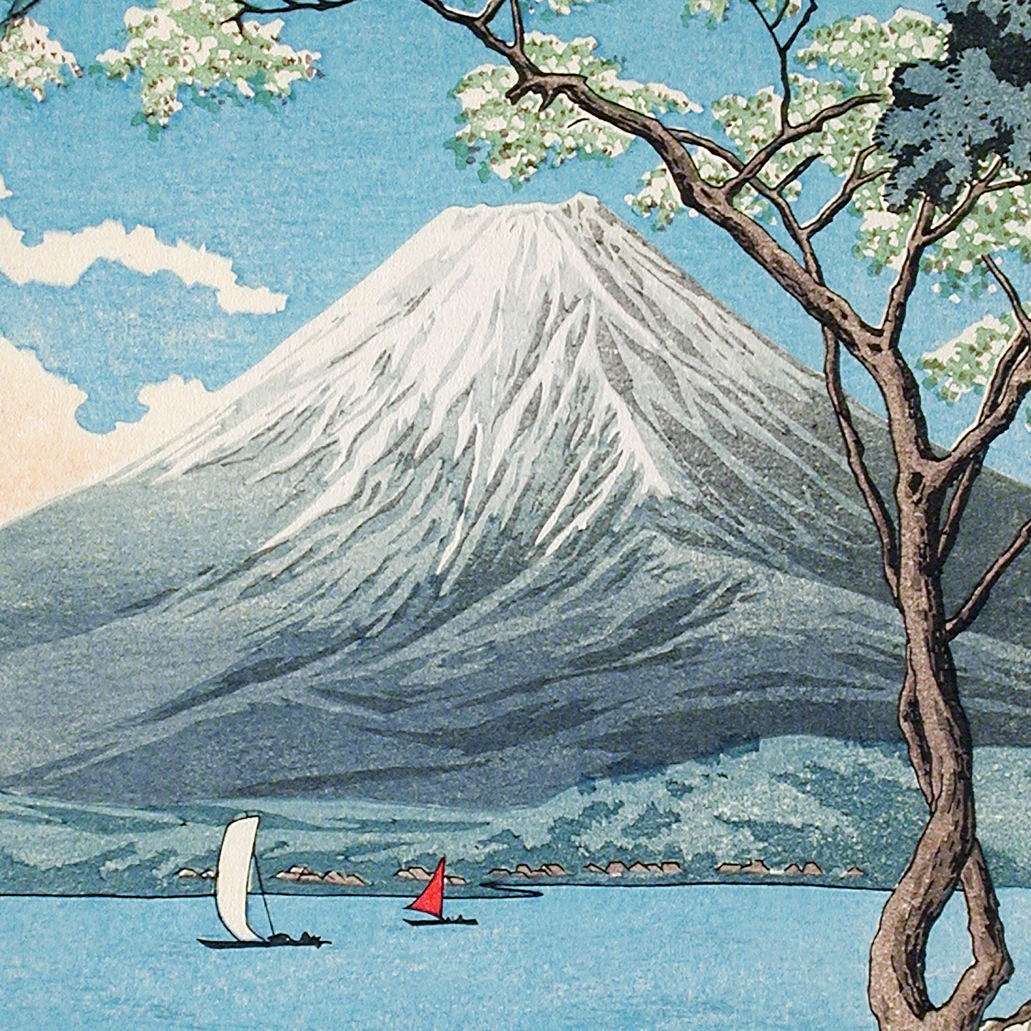 Mount Fuji from Lake Yamanaka