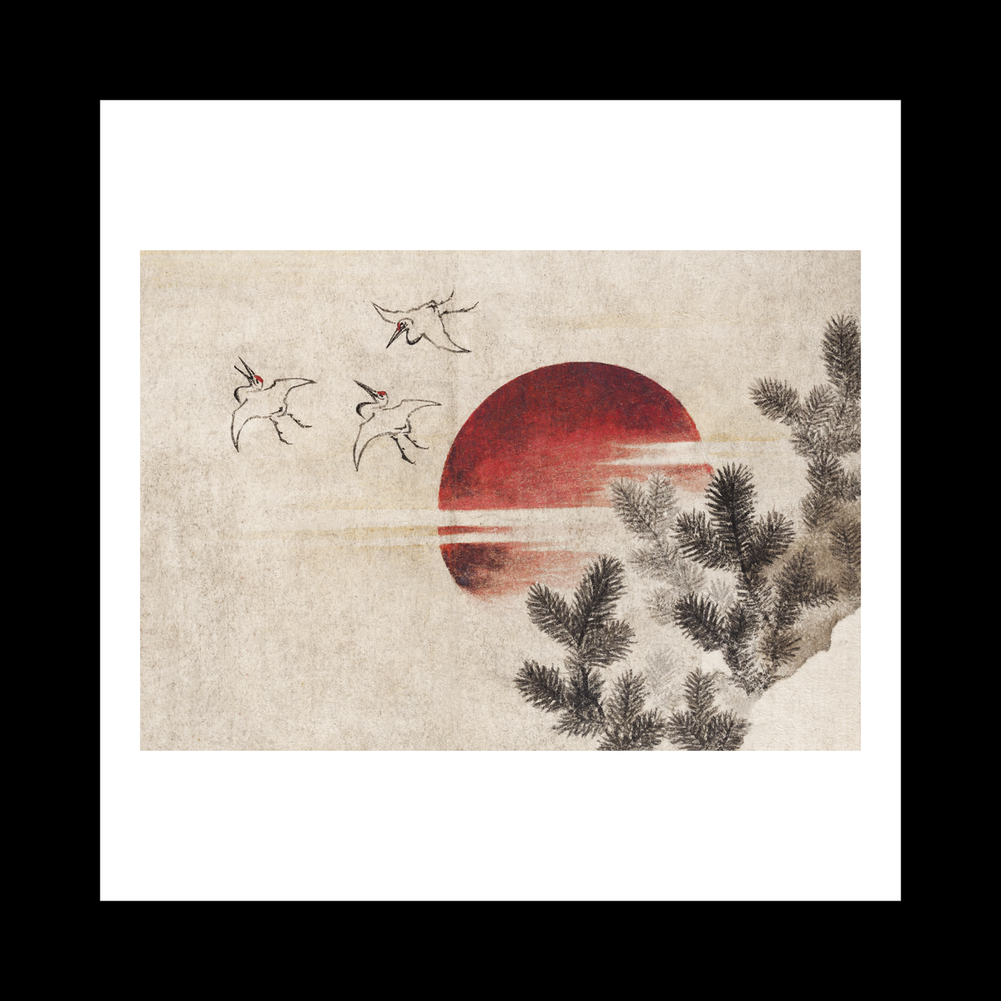 Birds and sunset