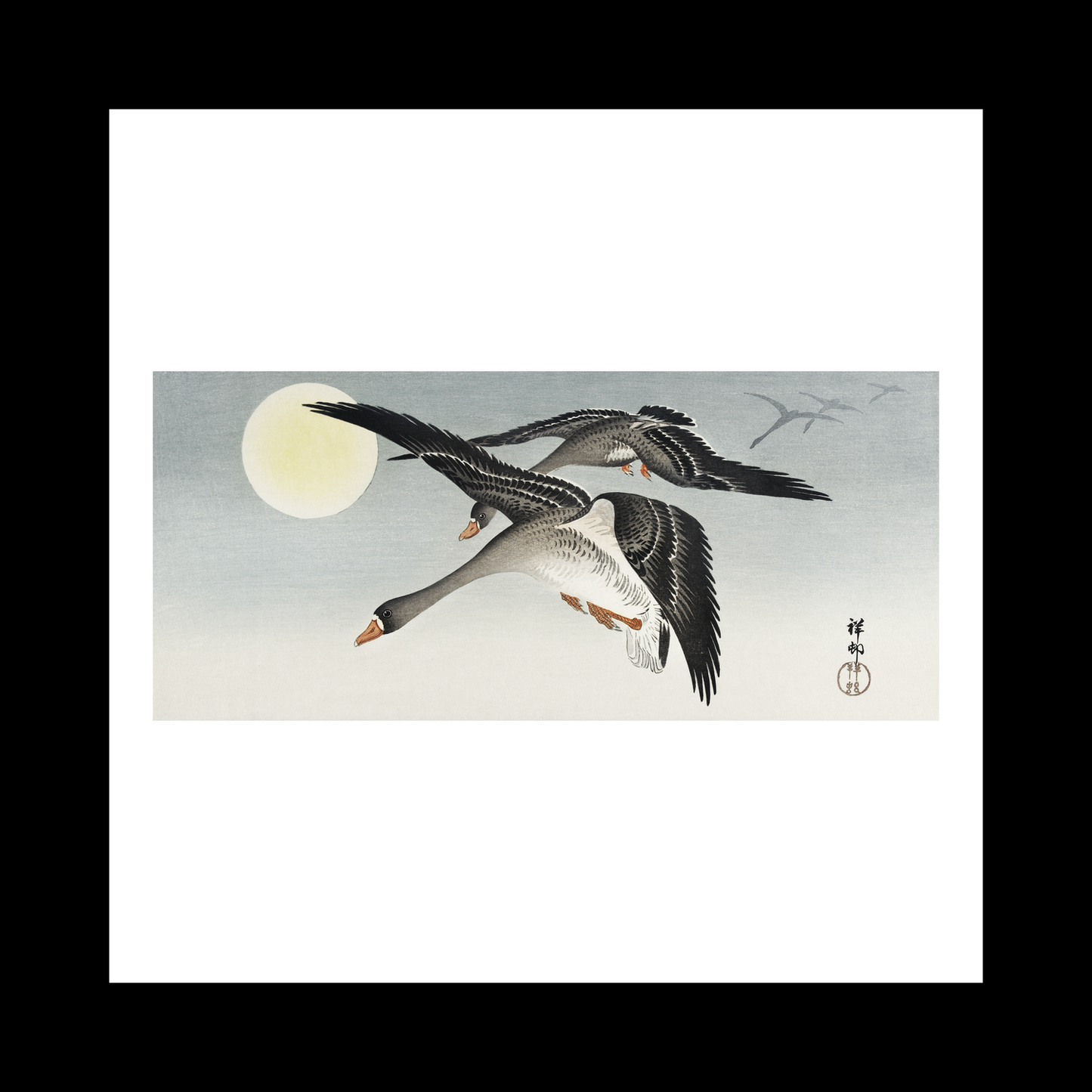 Birds full moon (1900 - 1936)