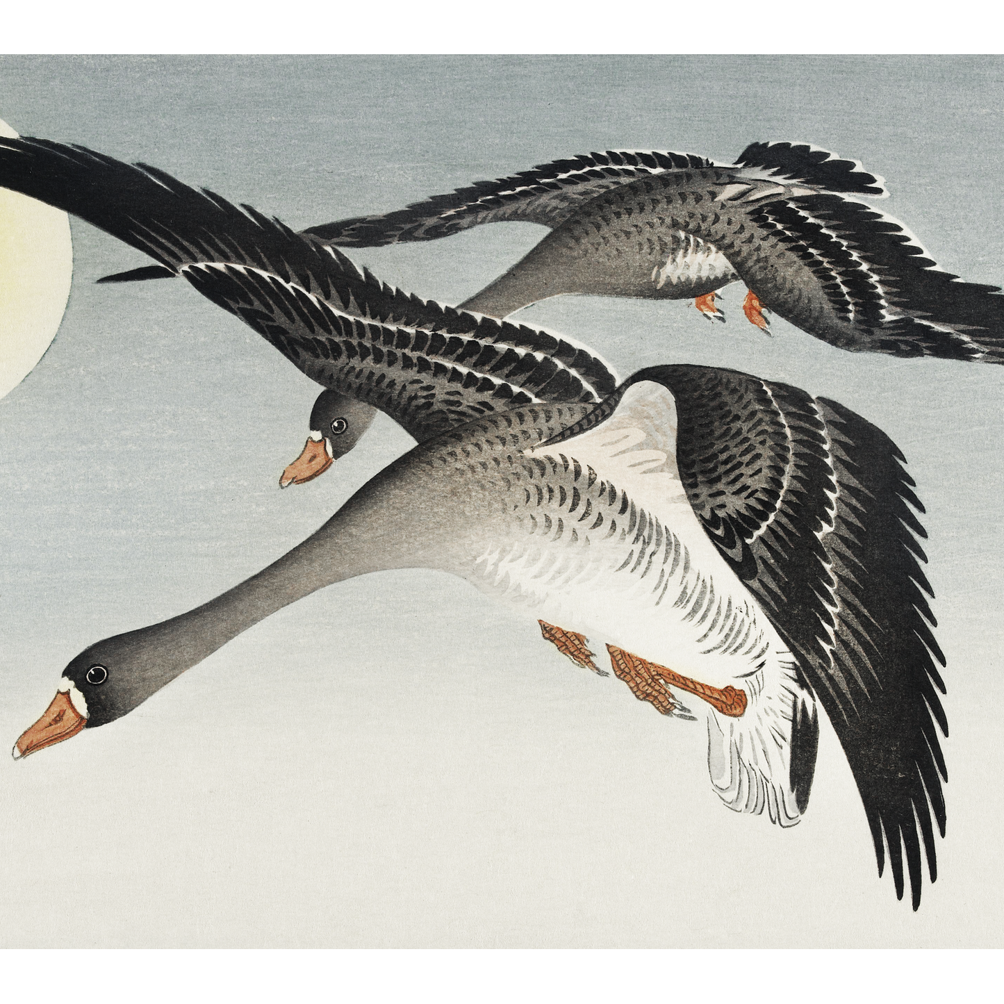 Birds full moon (1900 - 1936)