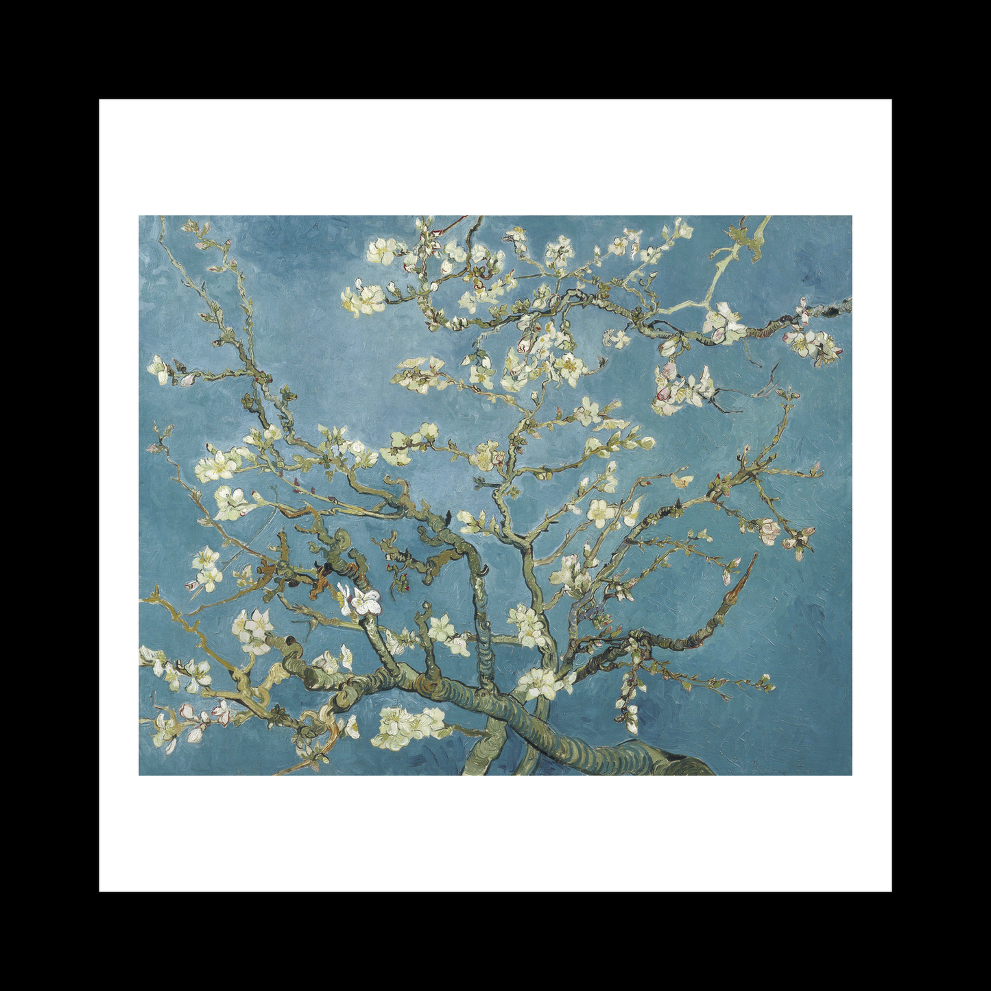 Almond blossom