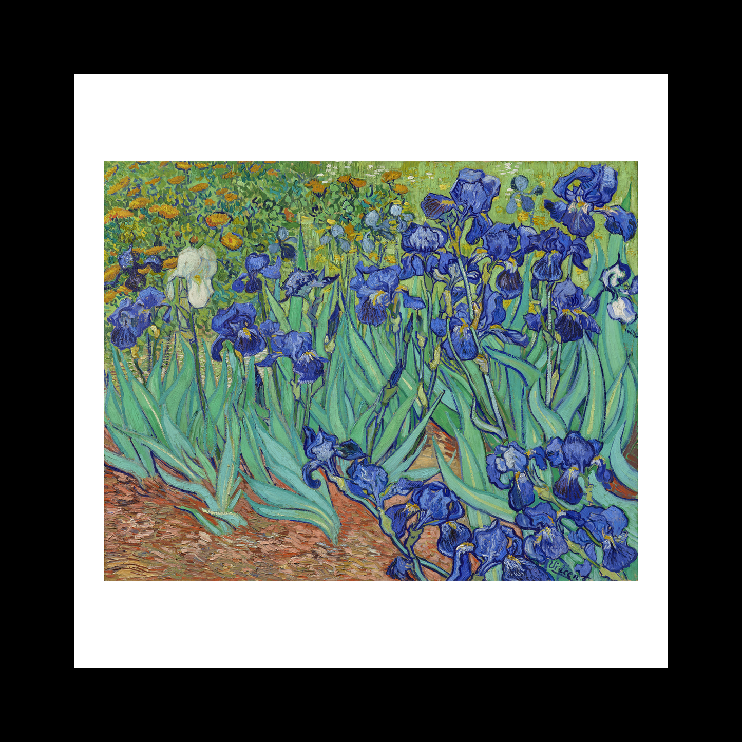 Irises (1889)