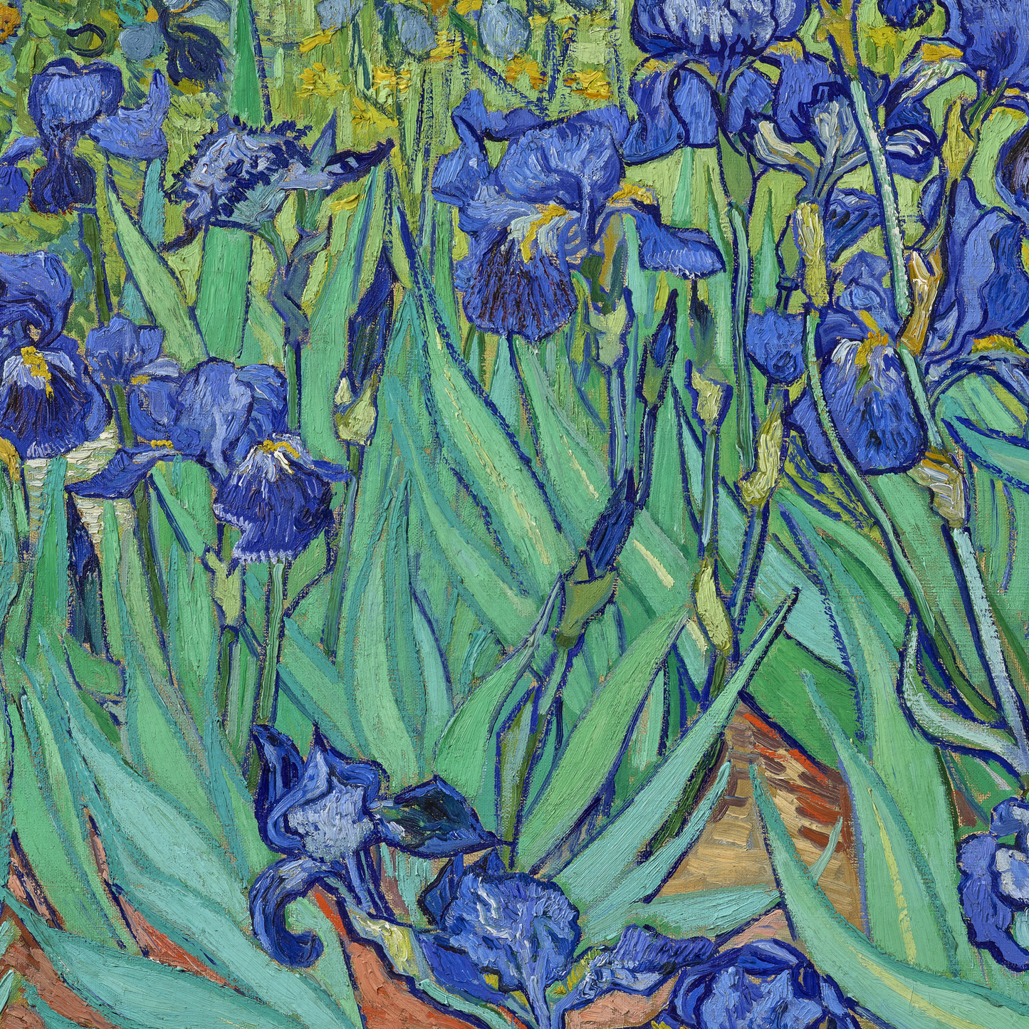 Irises (1889)