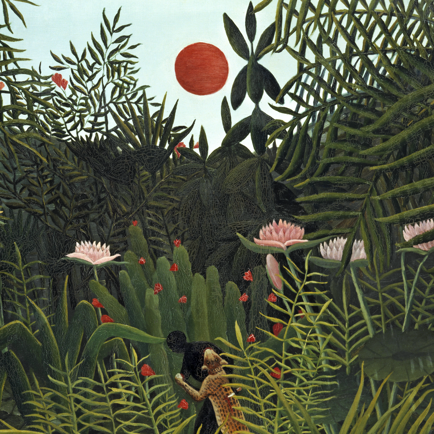 Virgin Forest with Sunset