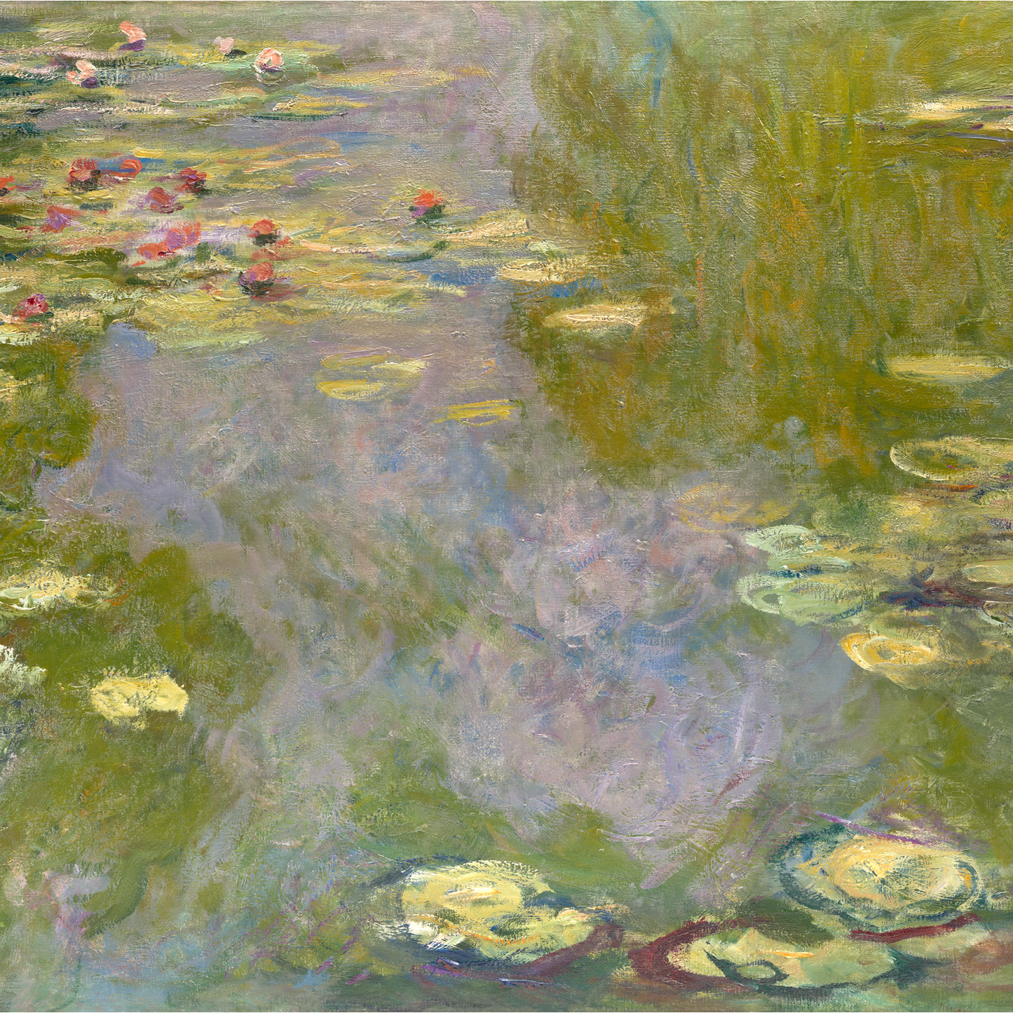 Water Lilies (1919)