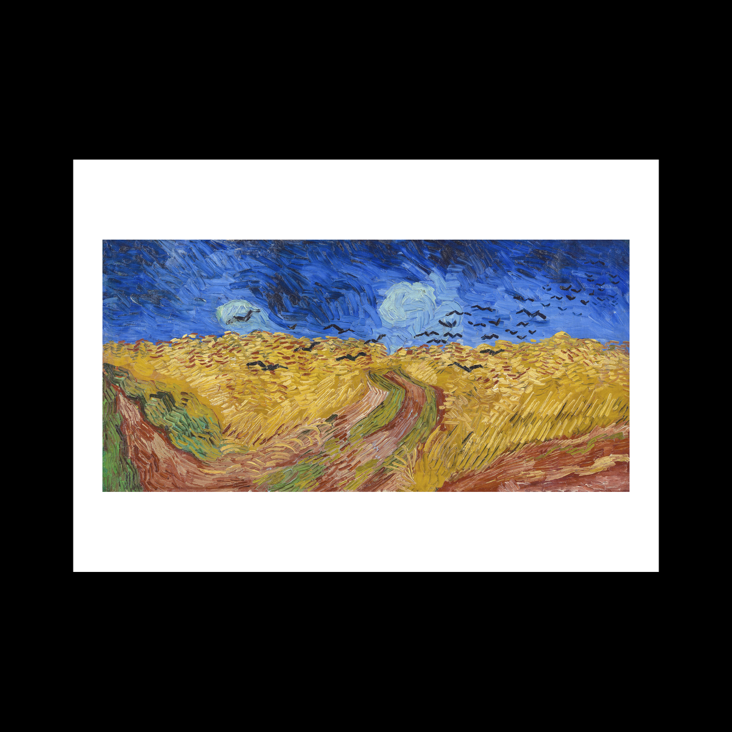 Wheatfield Crows