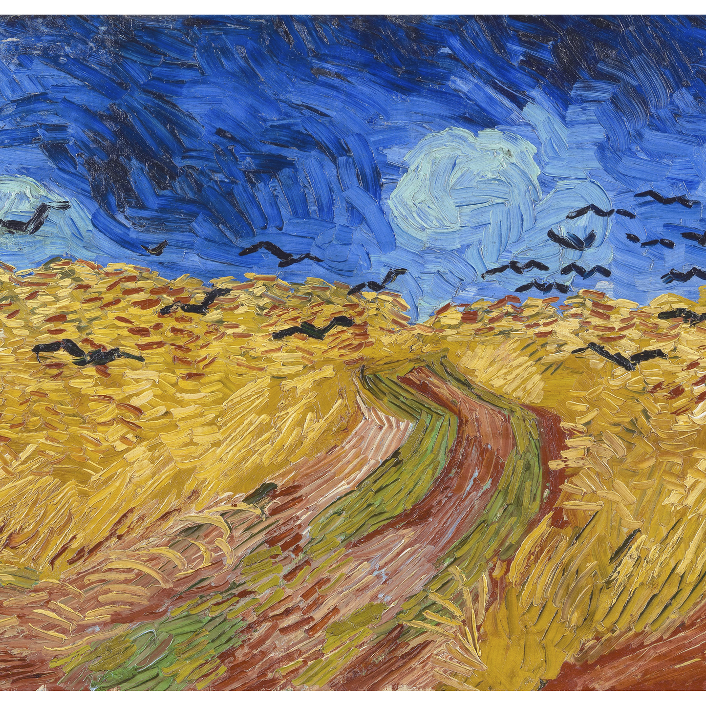 Wheatfield Crows