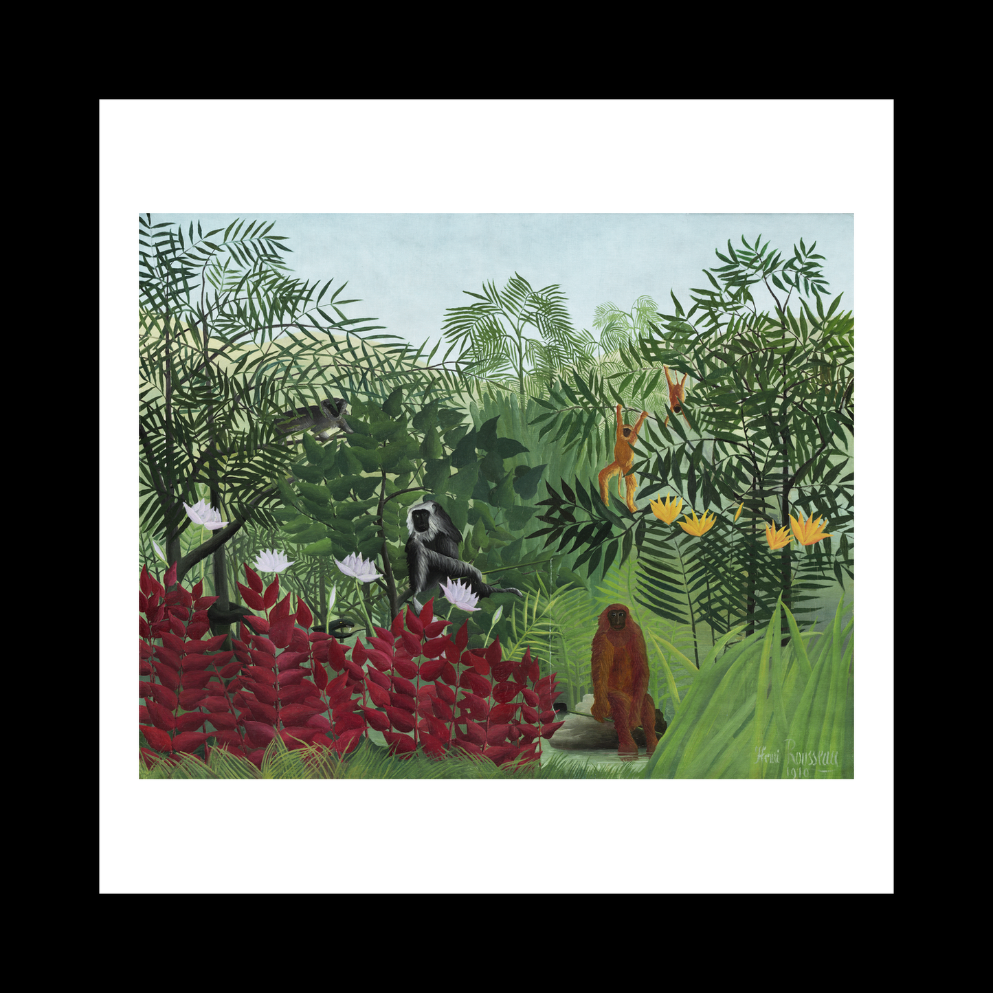 Tropical Forest with Monkeys