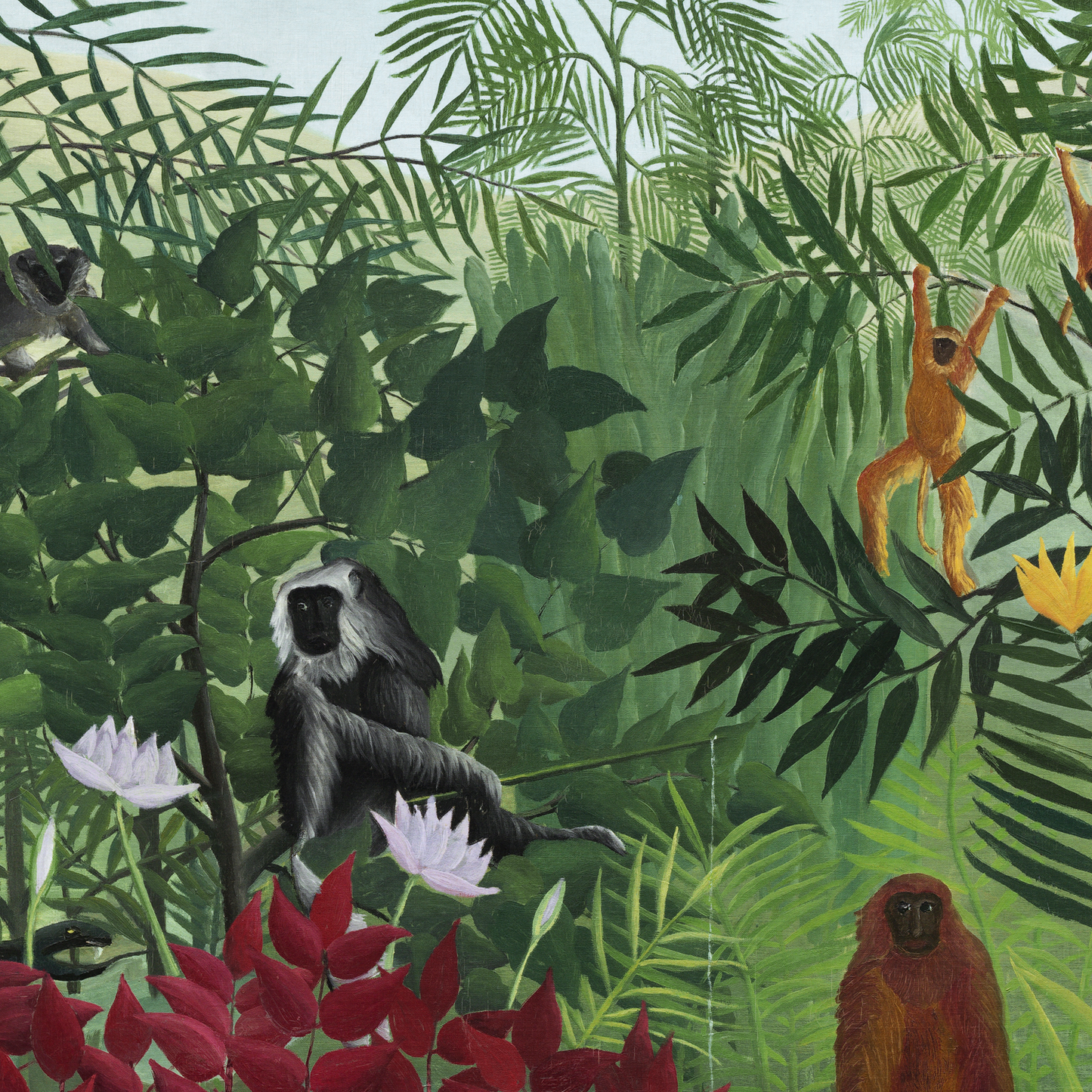 Tropical Forest with Monkeys