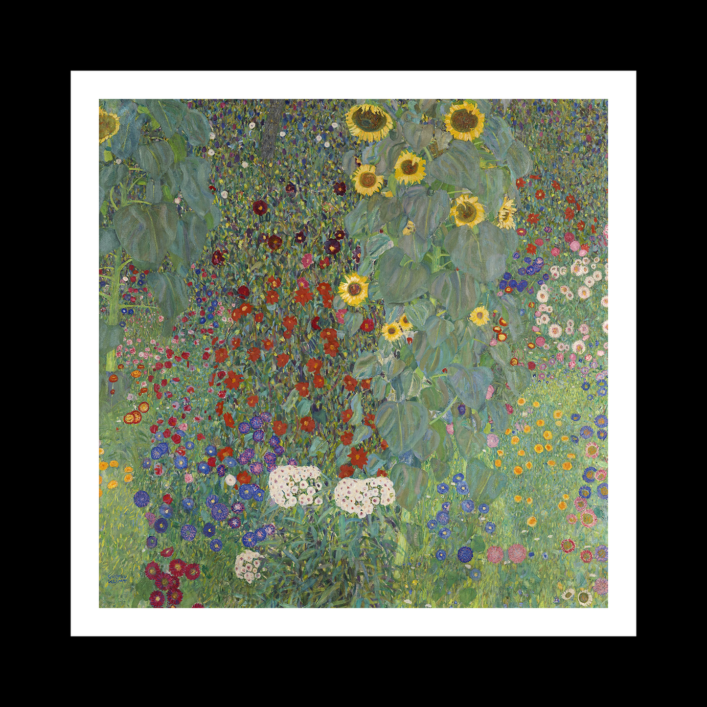 Farm Garden Sunflowers