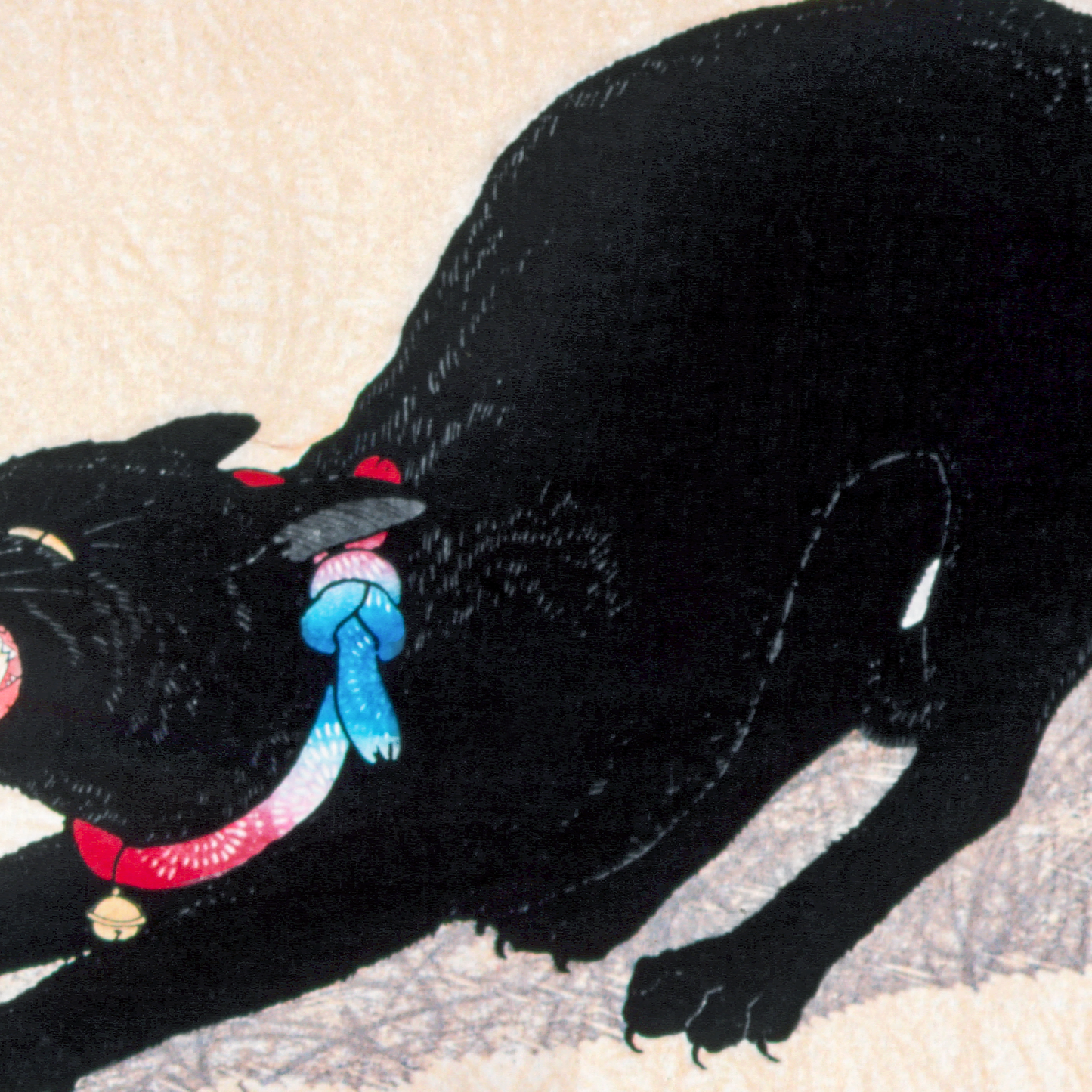 Black Cat Hissing