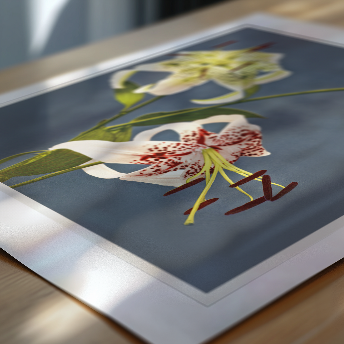 Lilies collotype Japan. Described and