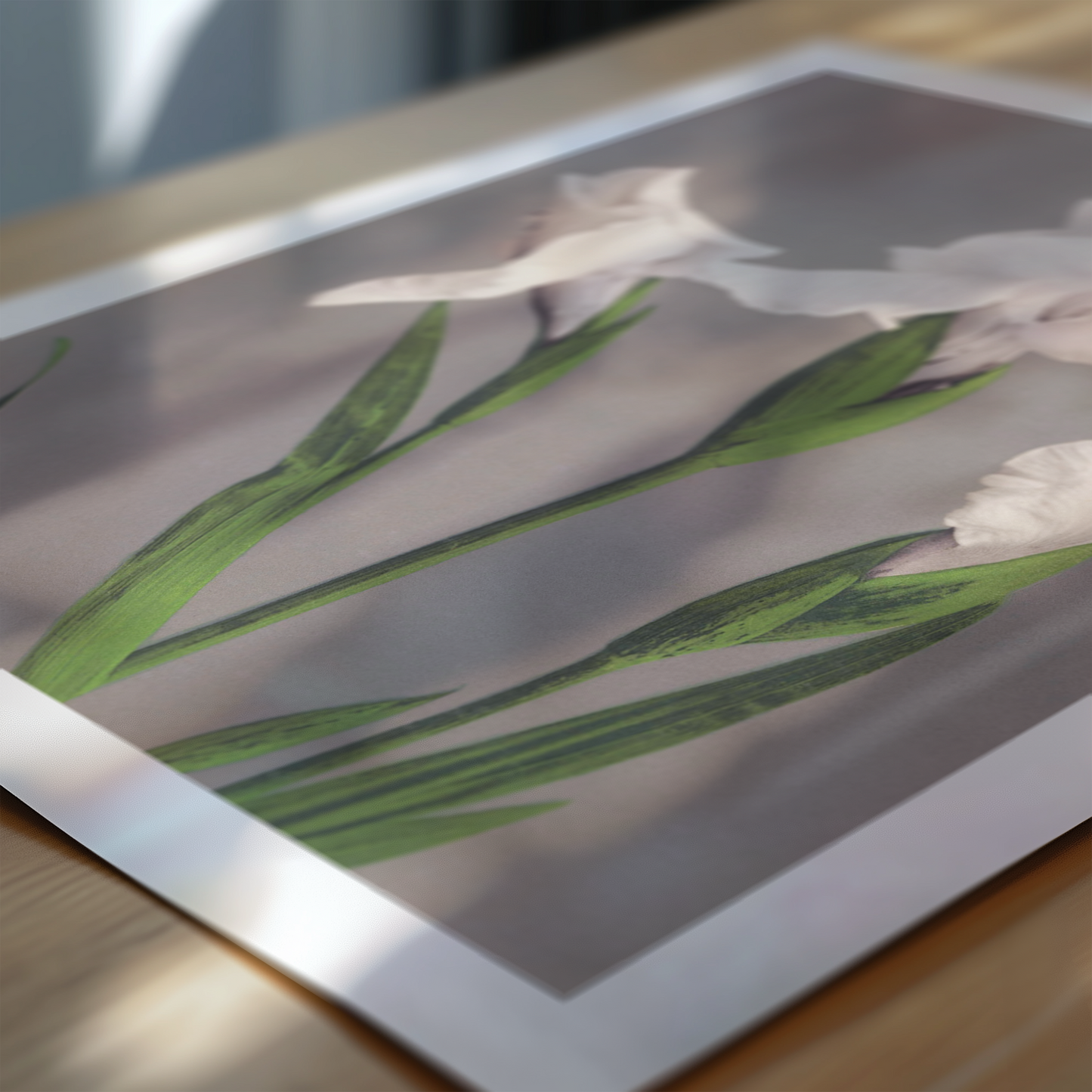 Beautiful photomechanical prints White Irises
