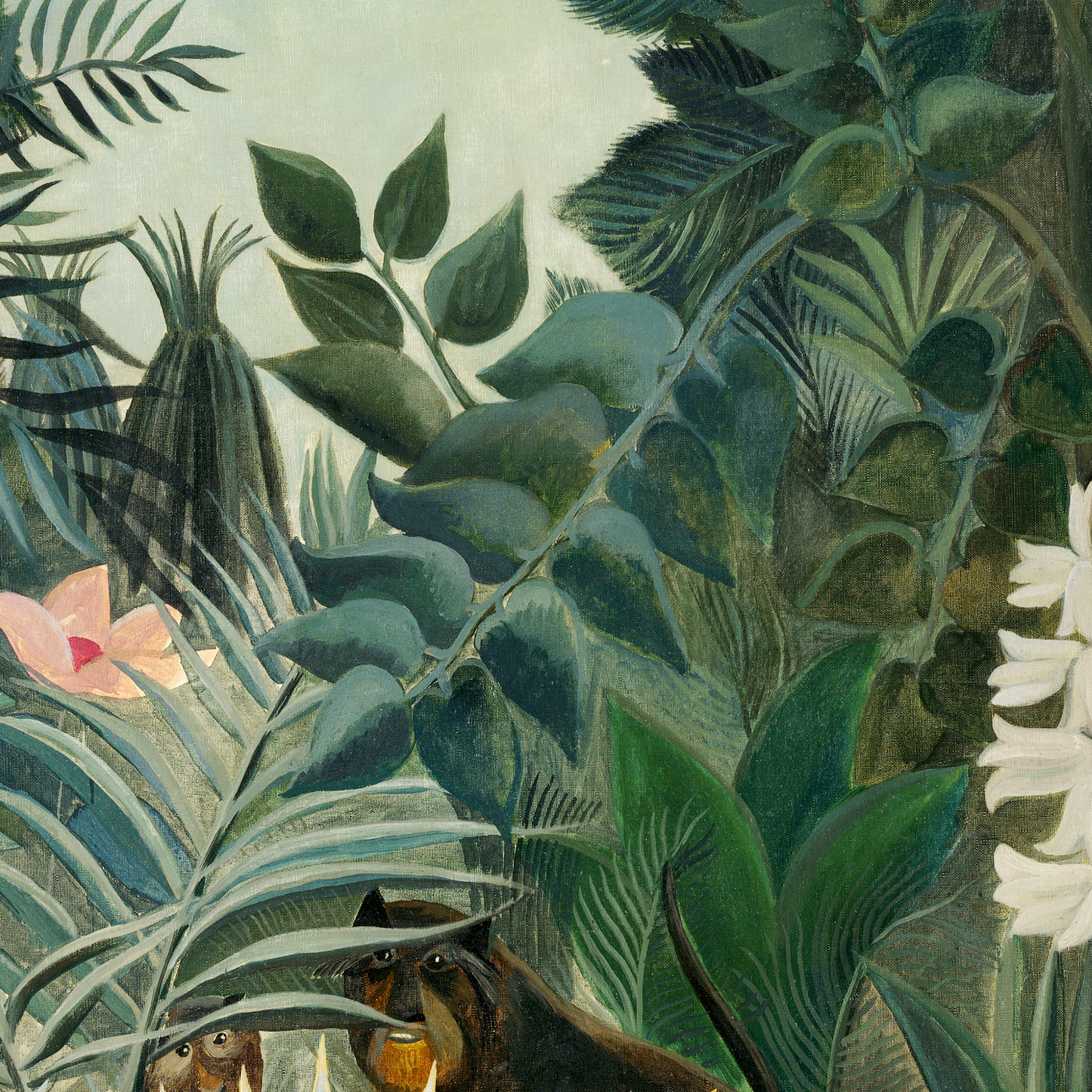 The Equatorial Jungle