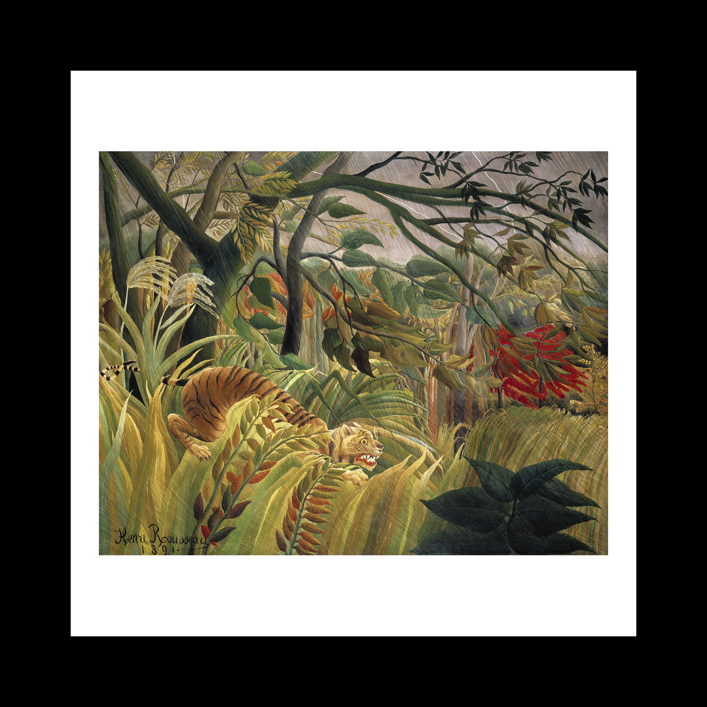Tiger in a Tropical Storm