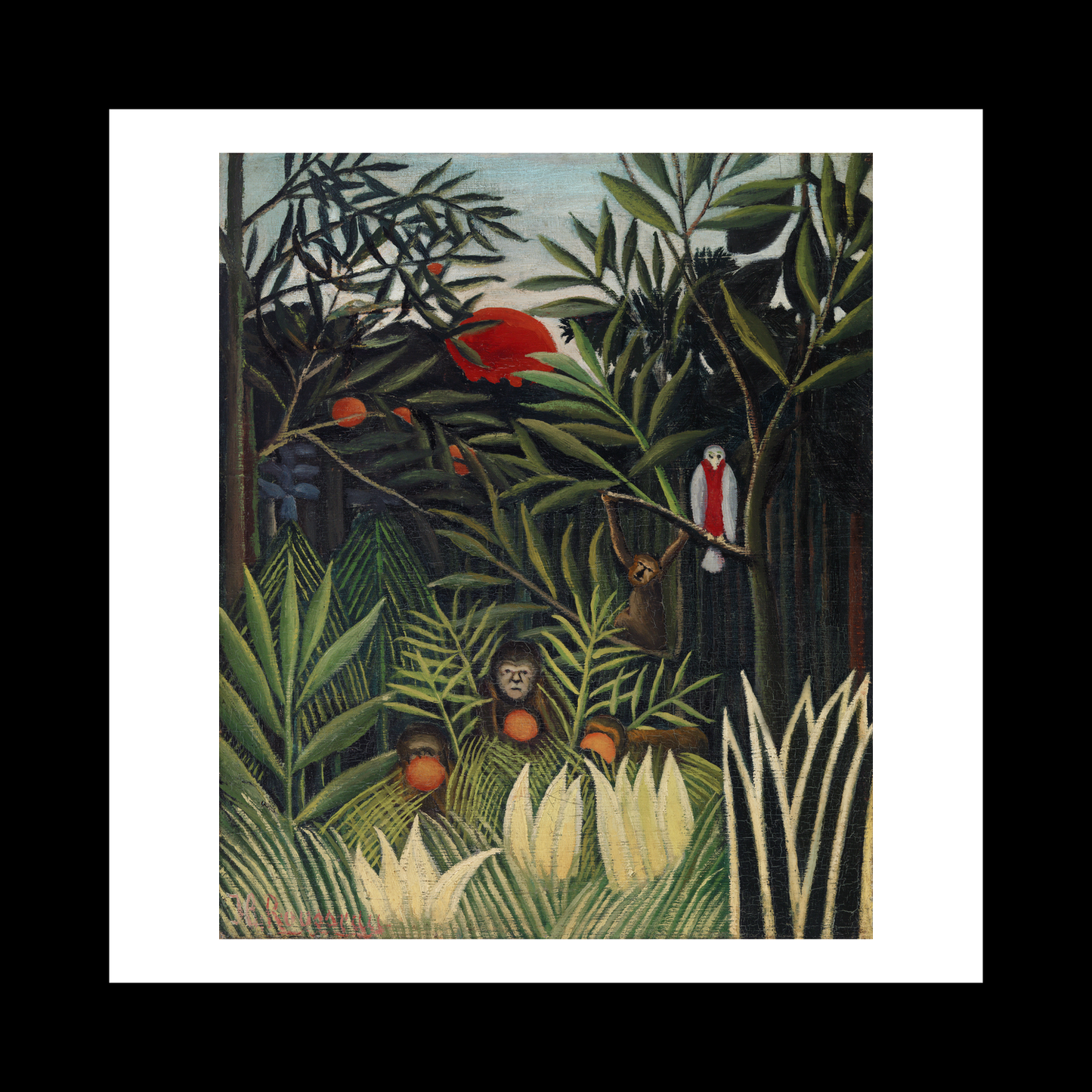 Monkeys and Parrot in the Virgin Forest