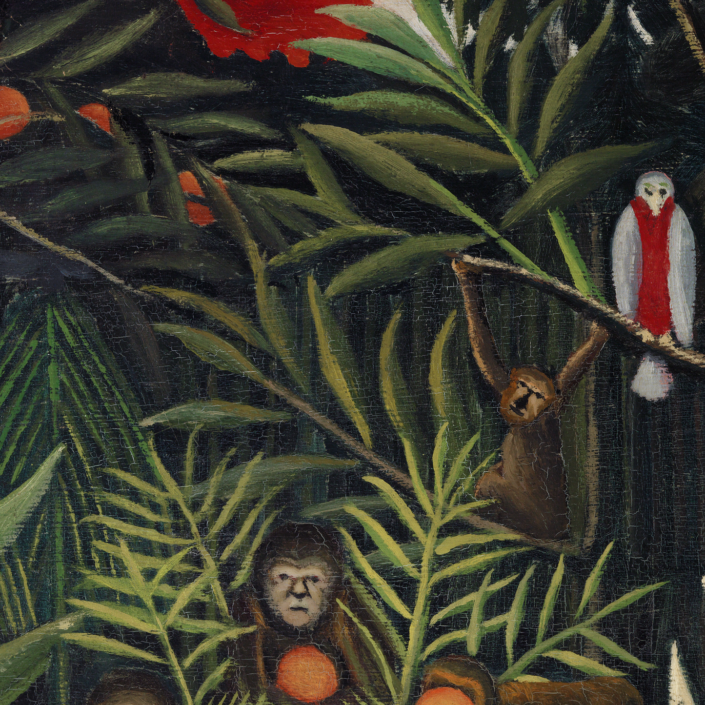 Monkeys and Parrot in the Virgin Forest