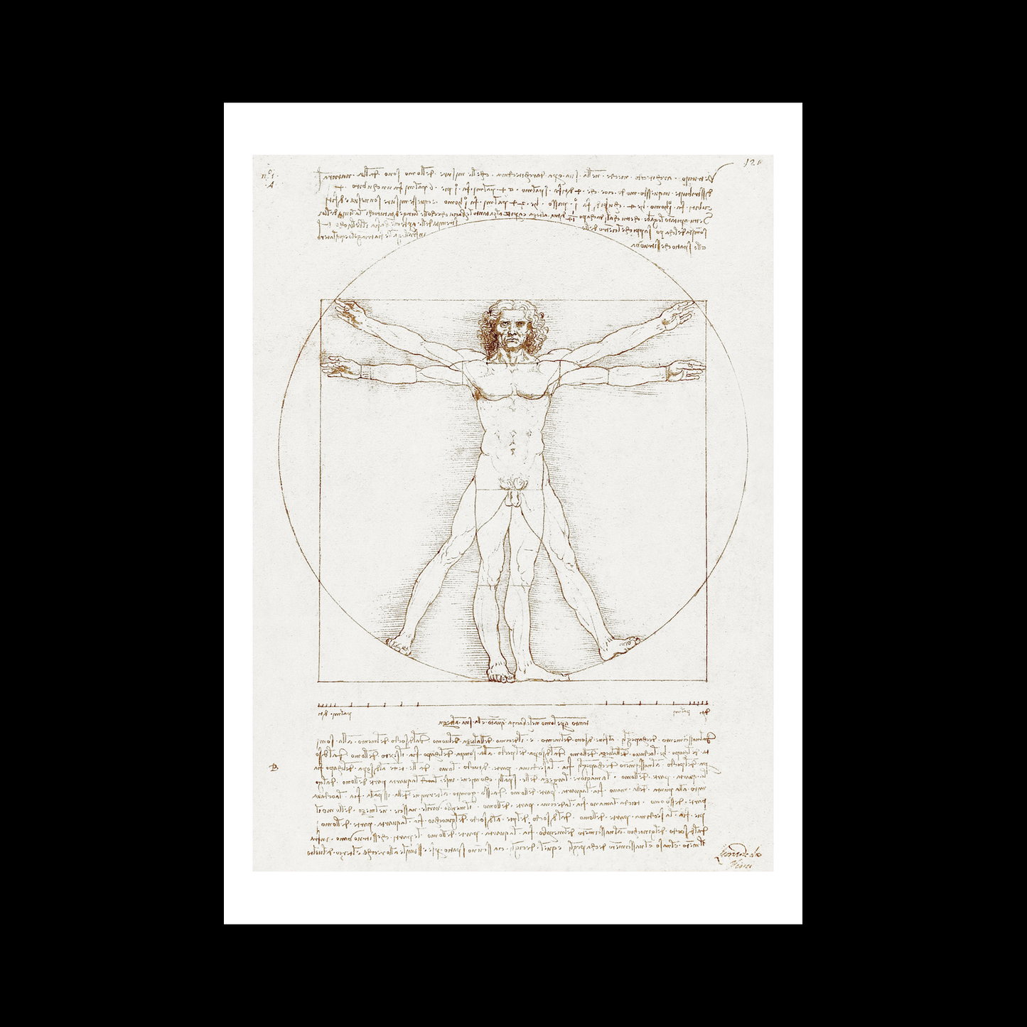 Vitruvian Man (1492)