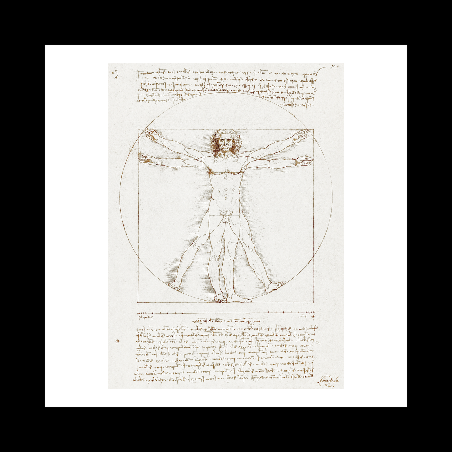 Vitruvian Man (1492)