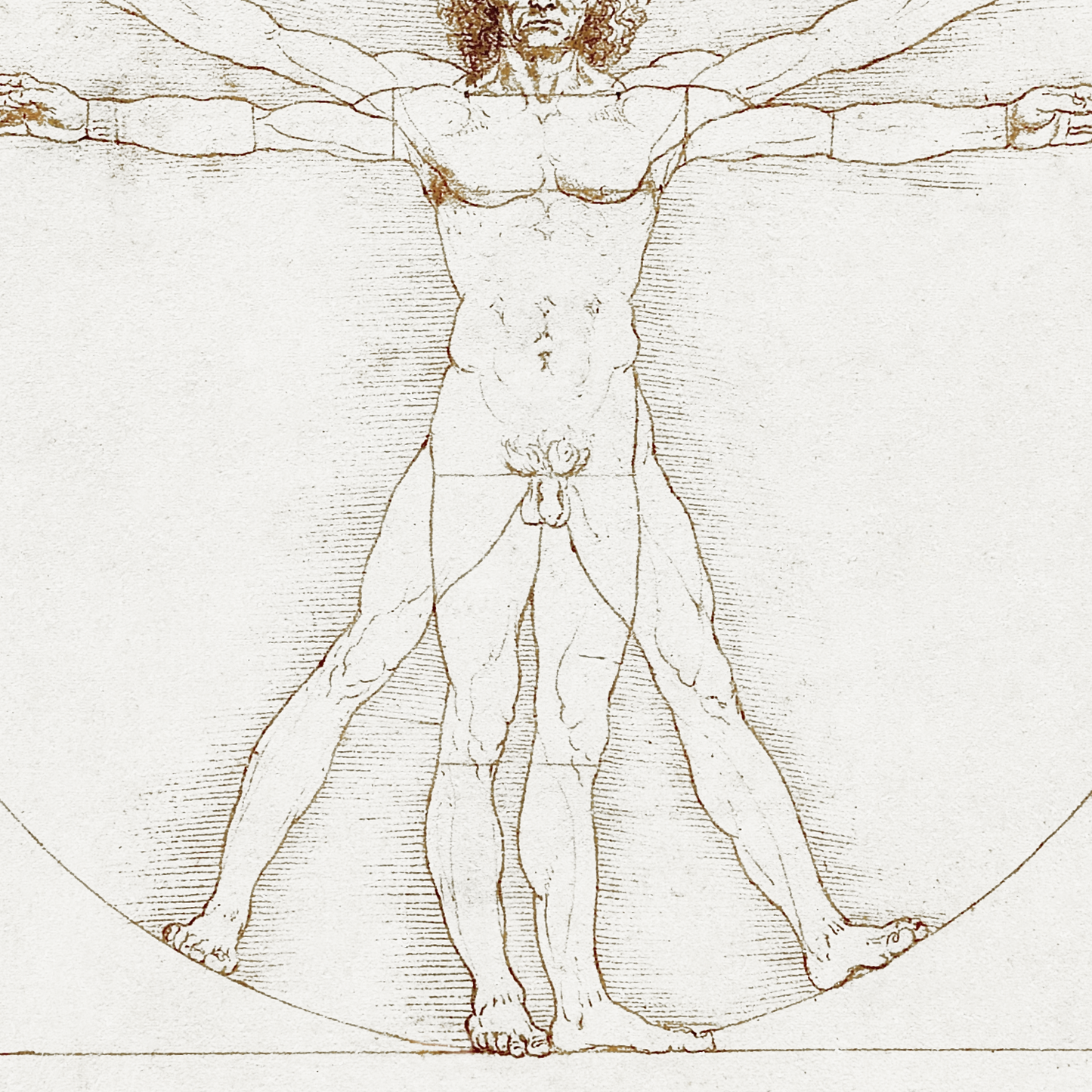 Vitruvian Man (1492)