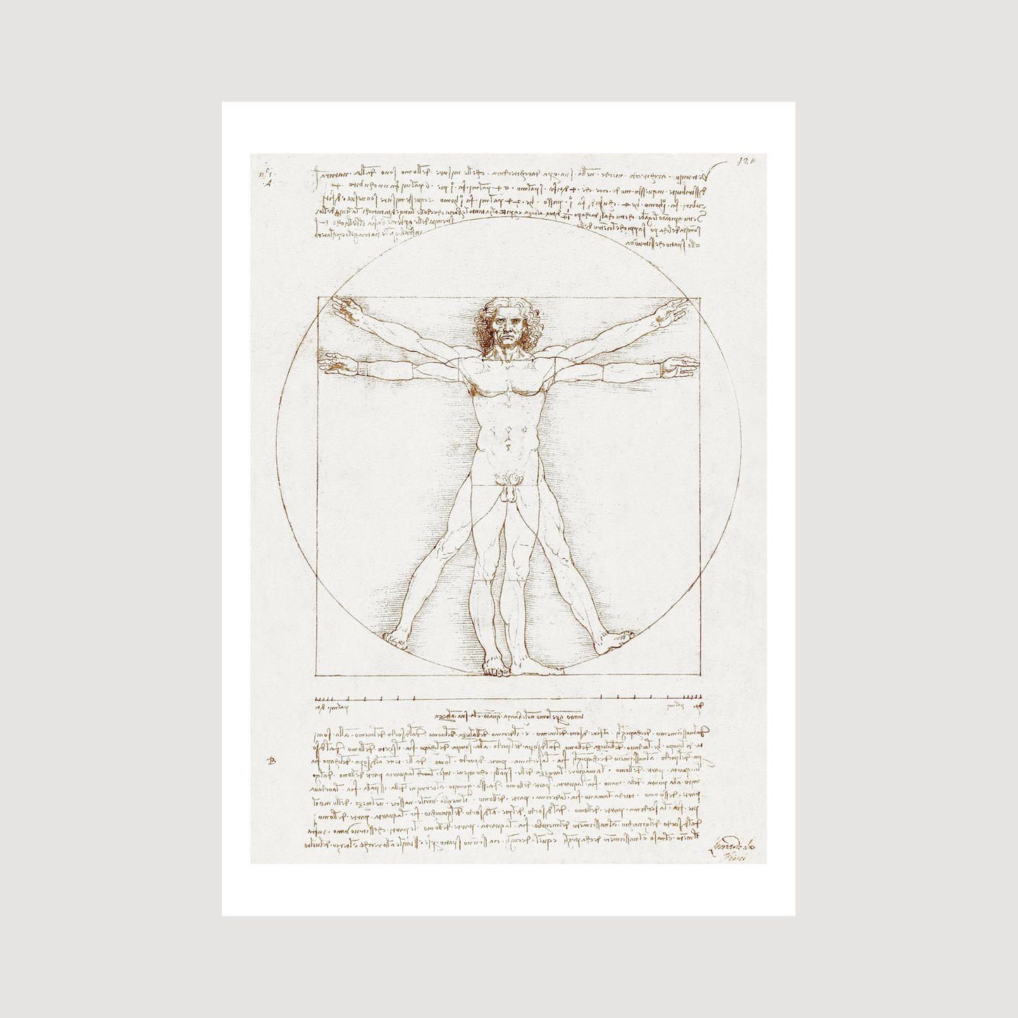 Vitruvian Man (1492)