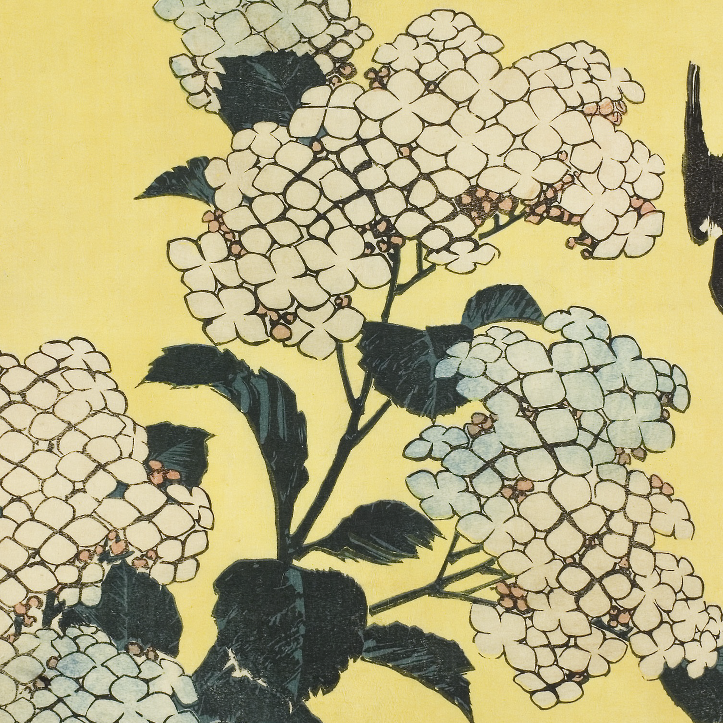 Hydrangea and Swallow