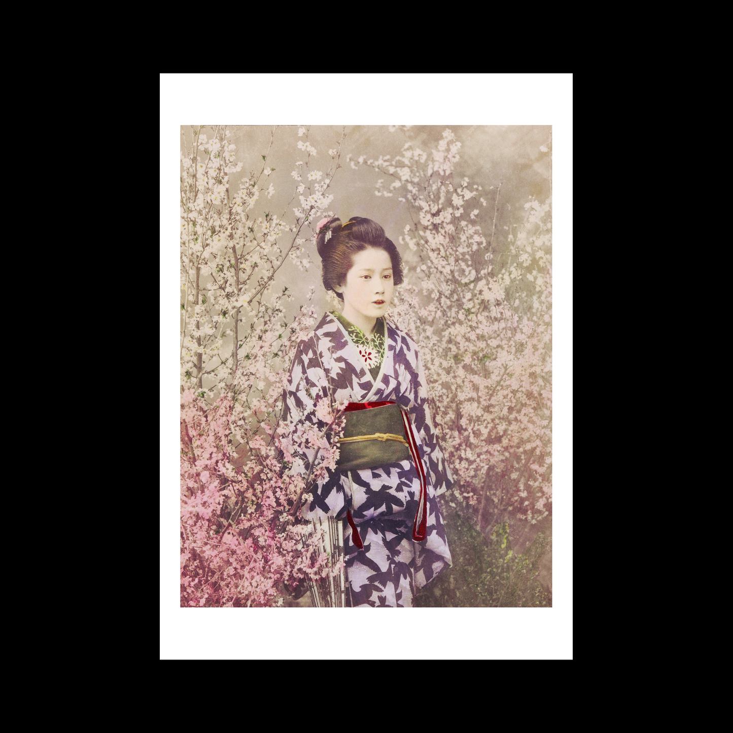 Beautiful photomechanical prints Geisha and