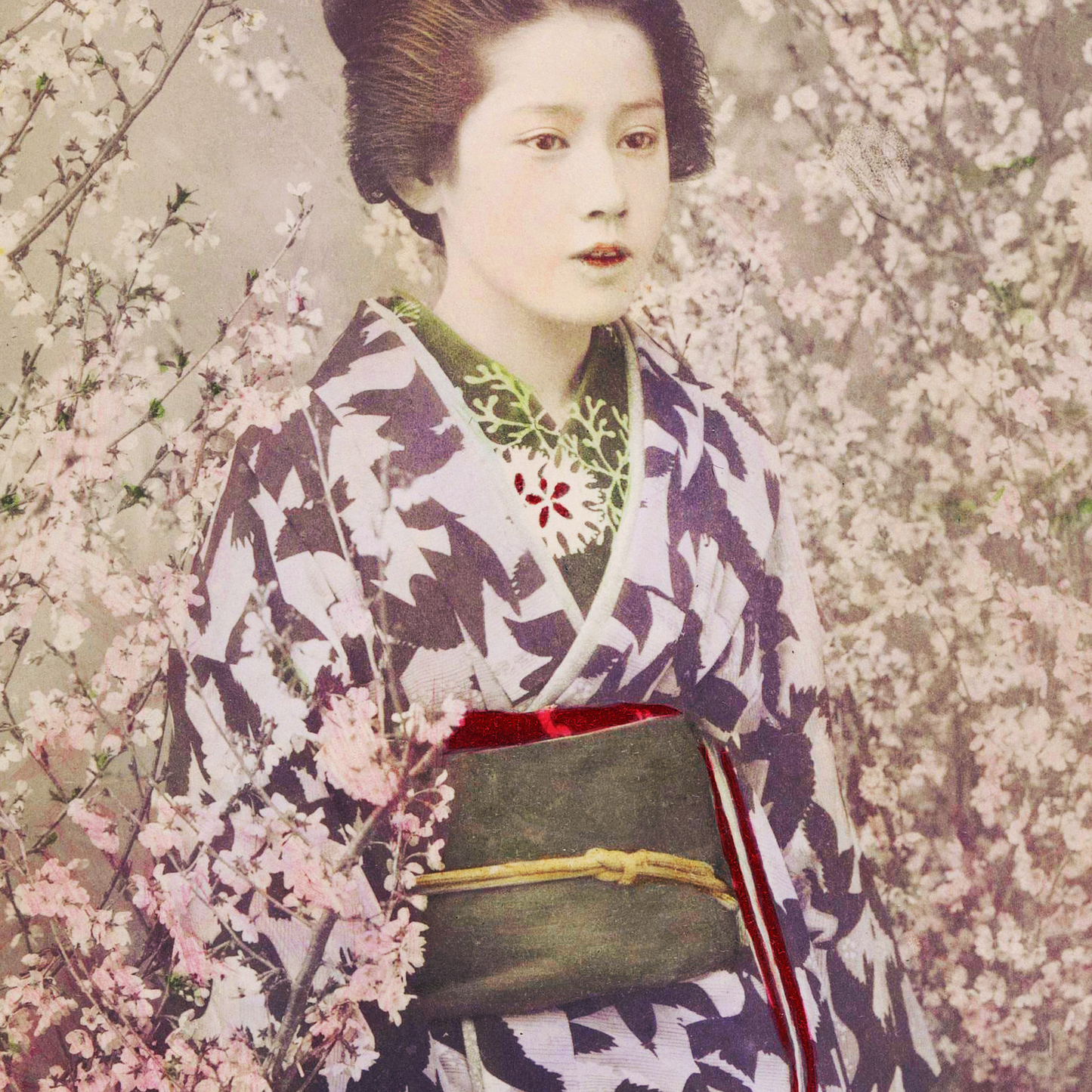 Beautiful photomechanical prints Geisha and