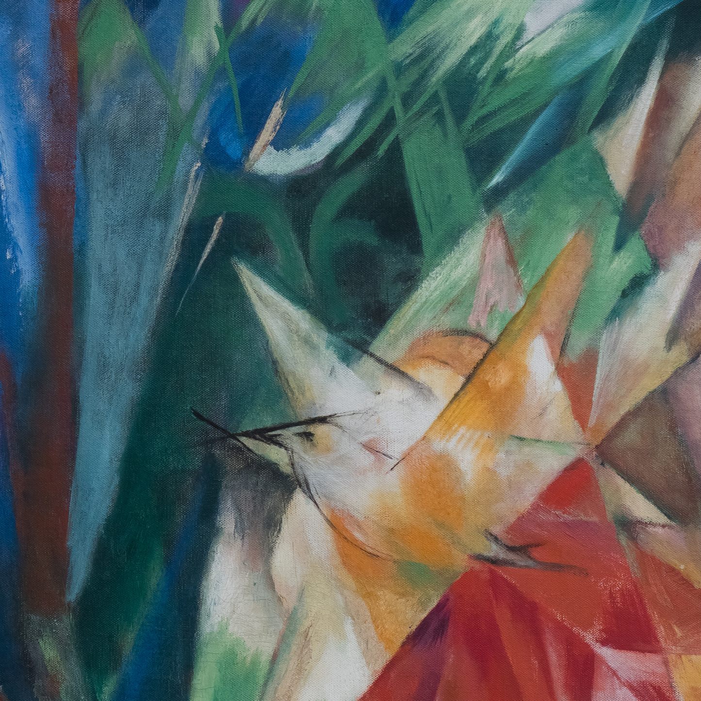 Birds
