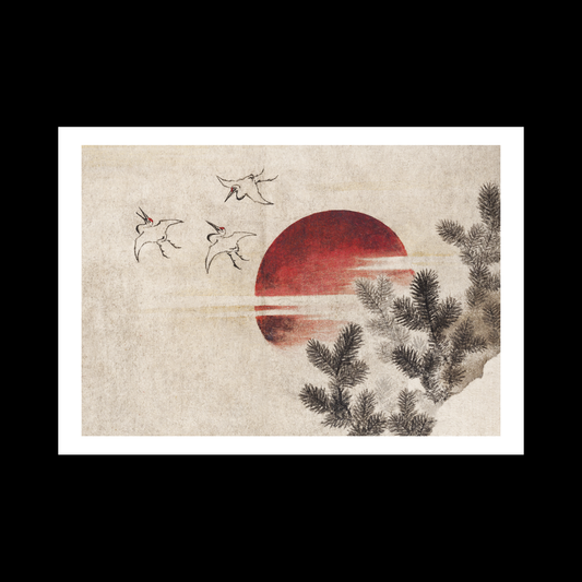 Birds and sunset