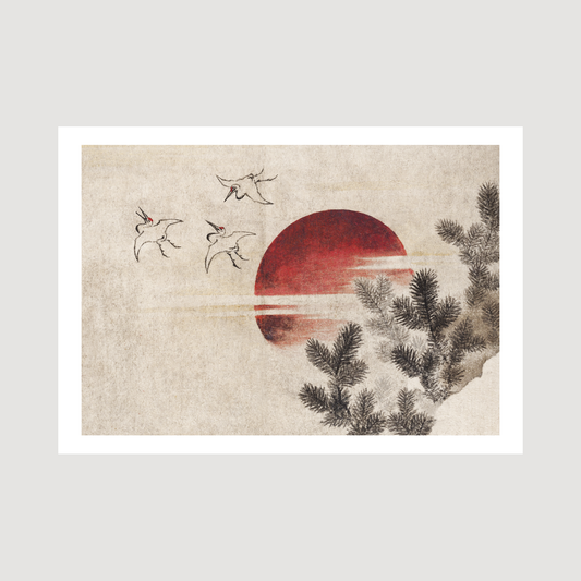 Birds and sunset
