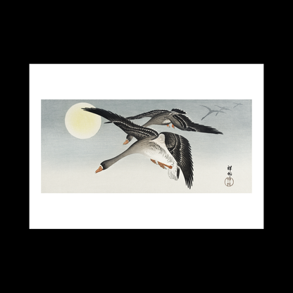 Birds full moon (1900 - 1936)