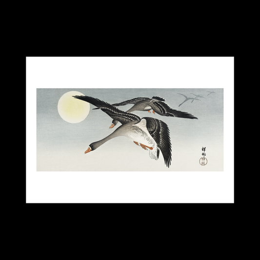 Birds full moon (1900 - 1936)