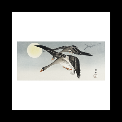 Birds full moon (1900 - 1936)