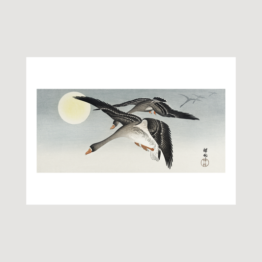 Birds full moon (1900 - 1936)