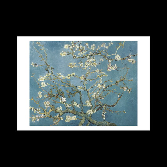 Almond blossom