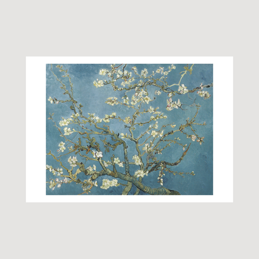 Almond blossom