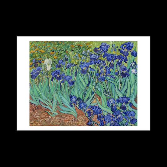 Irises (1889)