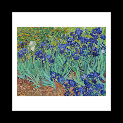 Irises (1889)