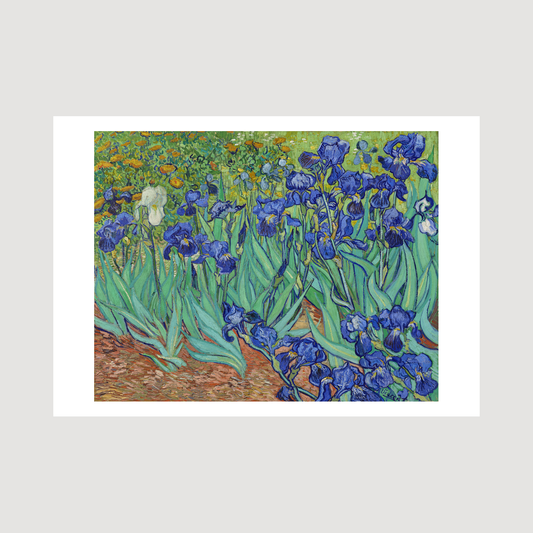 Irises (1889)