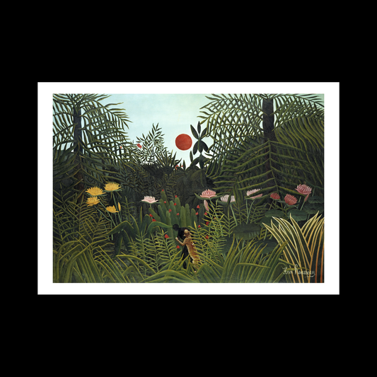 Virgin Forest with Sunset
