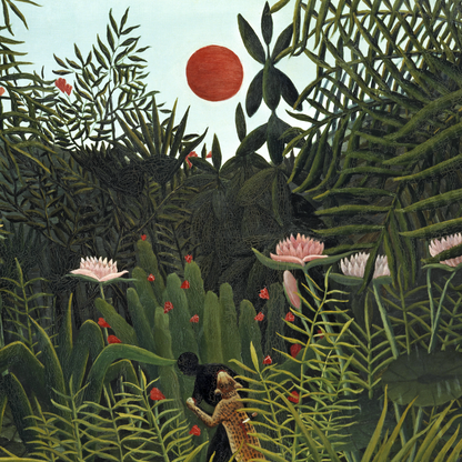 Virgin Forest with Sunset