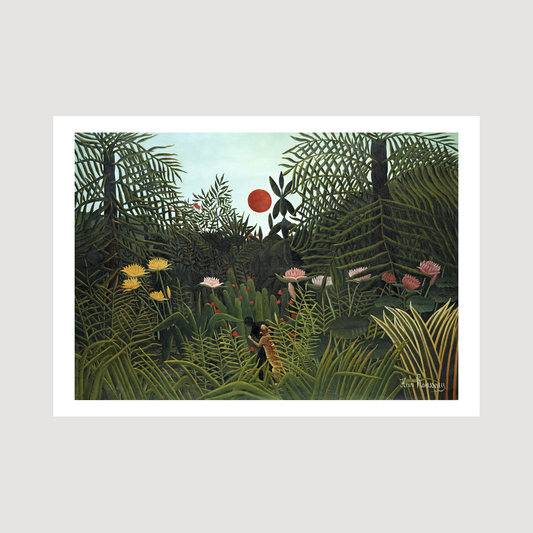 Virgin Forest with Sunset