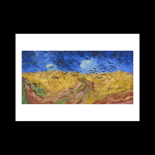 Wheatfield Crows