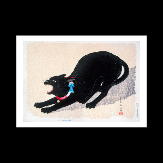 Black Cat Hissing