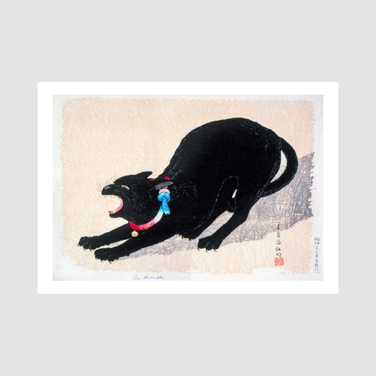 Black Cat Hissing