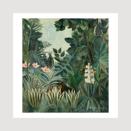 The Equatorial Jungle