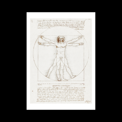 Vitruvian Man (1492)