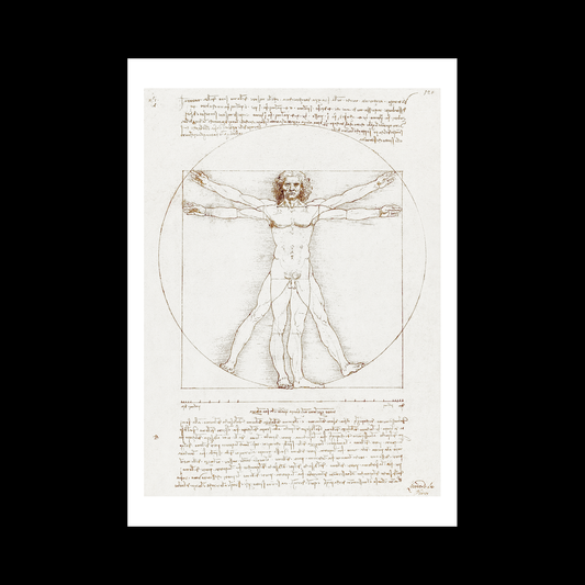 Vitruvian Man (1492)